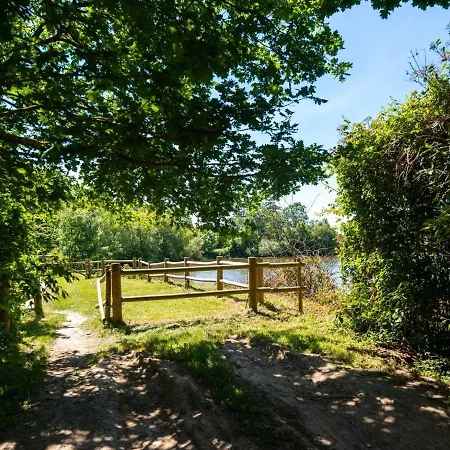 Quaint In Near * Ferce
